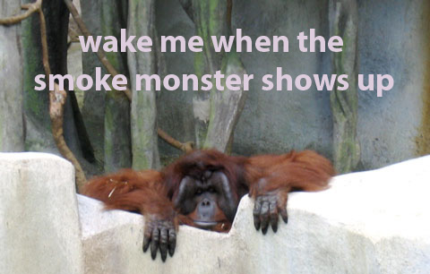 bored monkey